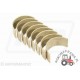 VPC2852, 218629A1x8, 3637793M91, 218629A1x8, U5ME0006B,