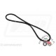Pasek wentylatora Case Fiat Ford  