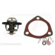 Termostat Case Fiat Ford Renault  