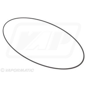 6005019079 Oring Claas Renault  