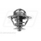 Termostat Fiat Ford John  