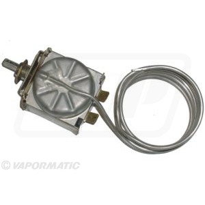 Termostat Ford  