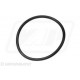 3009744X1x10 Oring Landini Massey  