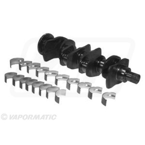 Zestaw wału korbowego Landini Massey  7500 8500 8000DT 80000R 168 175 178 185 188 