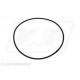 Piasta wewnętrzny ring Landini Massey  9550 250 265 275 290 298 575 590 690 698 698T 699 